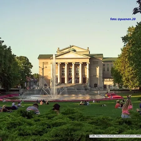 Spot * Познань